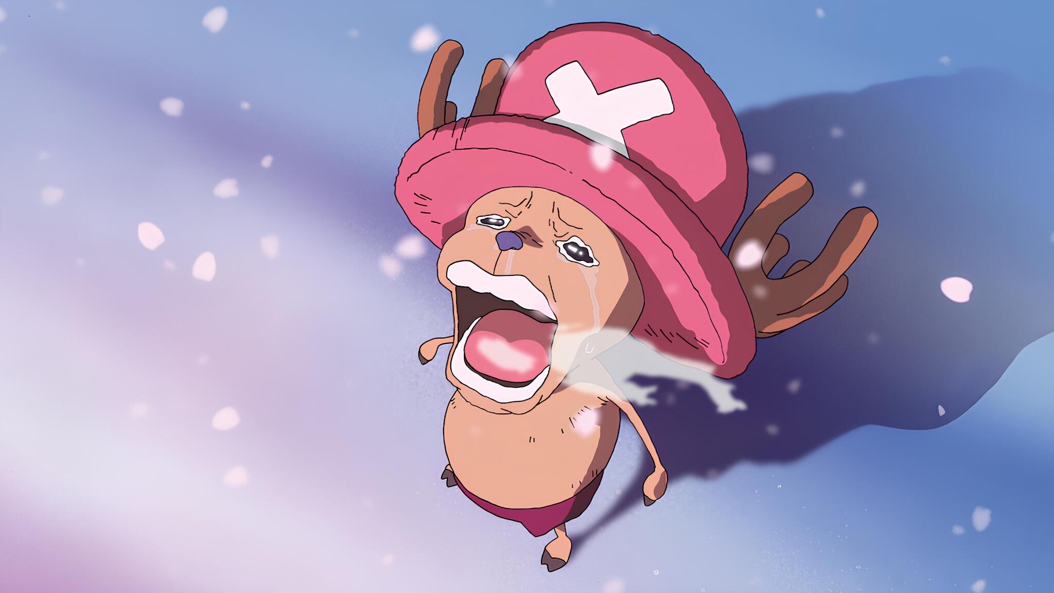 Discovery splash banner for Miruro Community Discord server