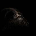 Discovery splash banner for Darky Edits Discord server