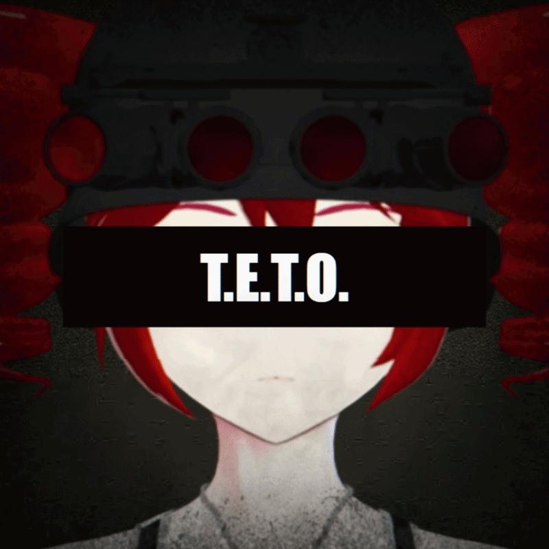 Discovery splash banner for T.E.T.O. Task Force Discord server