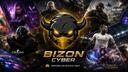 Discovery splash banner for BIZON CYBER COMMUNITY Discord server