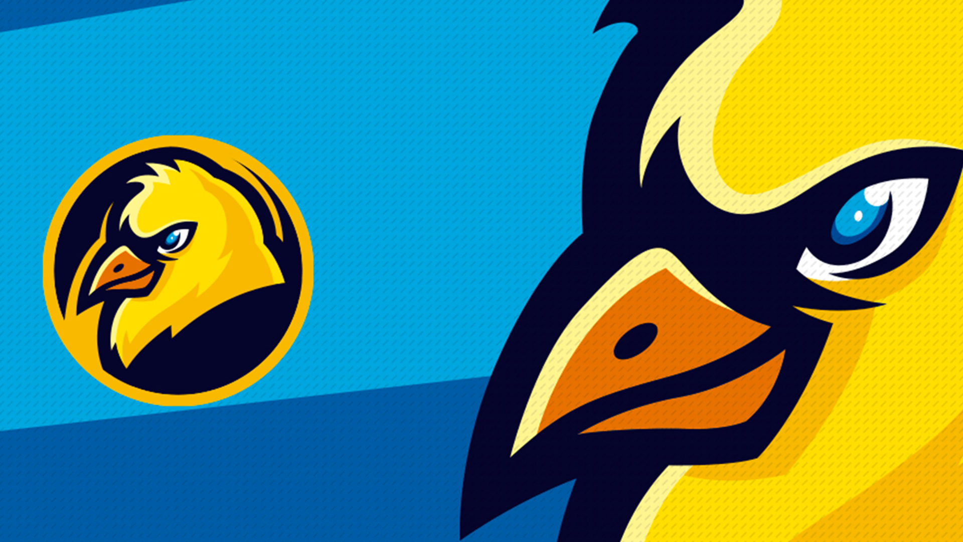 Discovery splash banner for Jaze Cinema Discord server