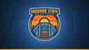Discovery splash banner for Sunshine State RP Discord server