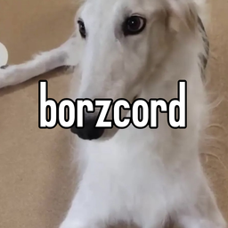 Discovery icon for borzcord Discord server